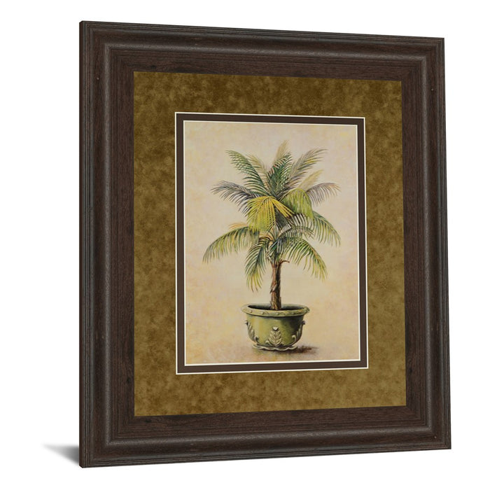 Classy Living Verdant Palm Display Wall Art Double Mat 34"x40",