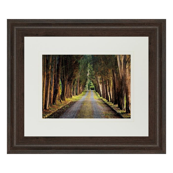 Classy Living Tree Tunnel Wall Art Double Mat 40"x34", Cinnamon Mocha