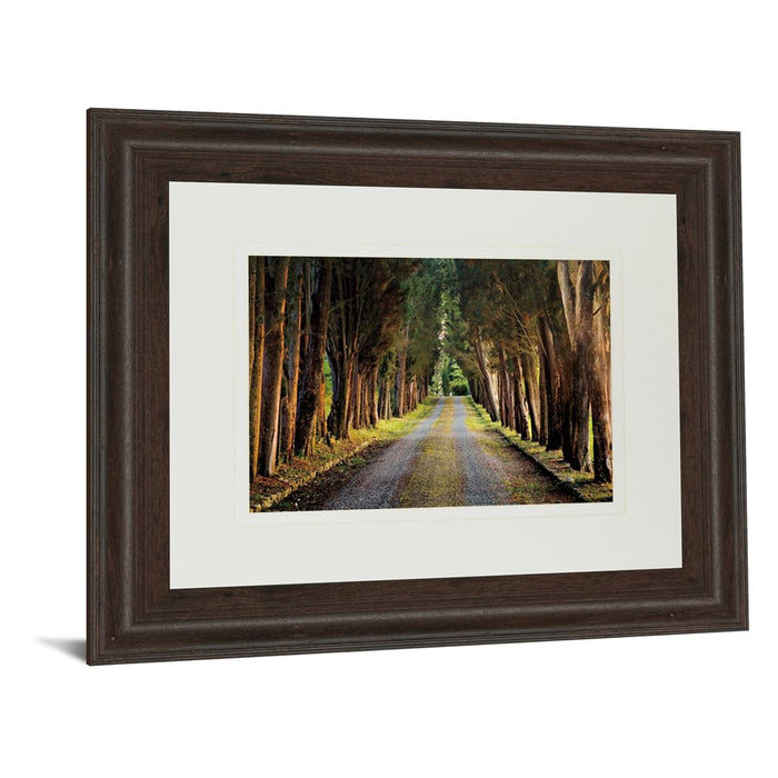 Classy Living Tree Tunnel Wall Art Double Mat 40"x34", Cinnamon Mocha