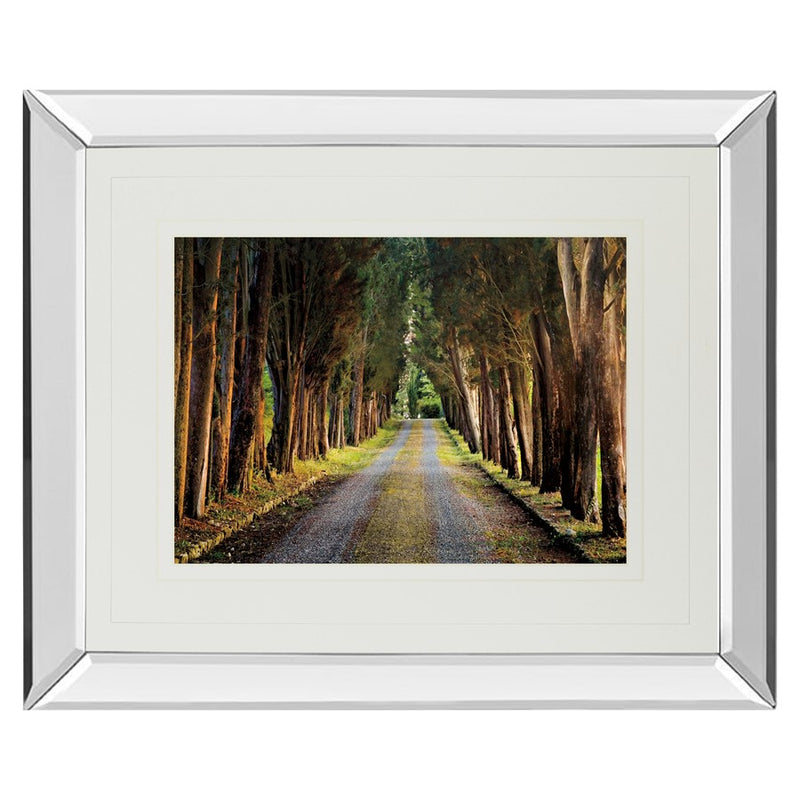 Classy Living Tree Tunnel Wall Art 40"x34", Mirrored