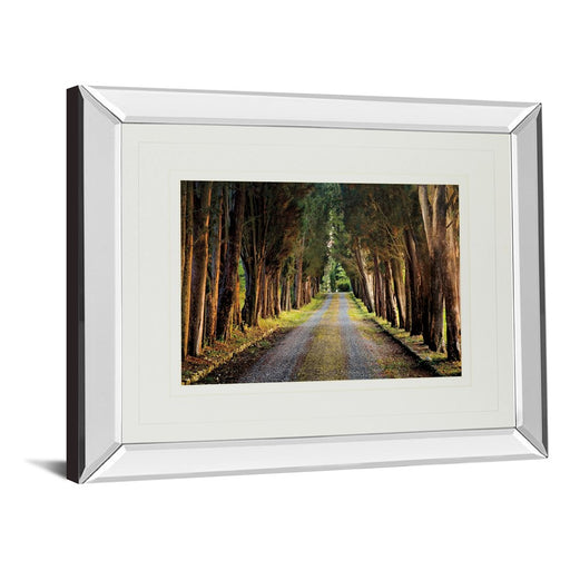 Classy Living Tree Tunnel Wall Art 40"x34", Mirrored