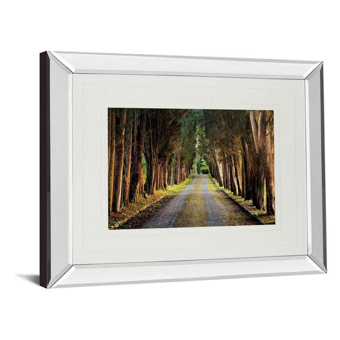 Classy Living Tree Tunnel Wall Art 40"x34", Mirrored