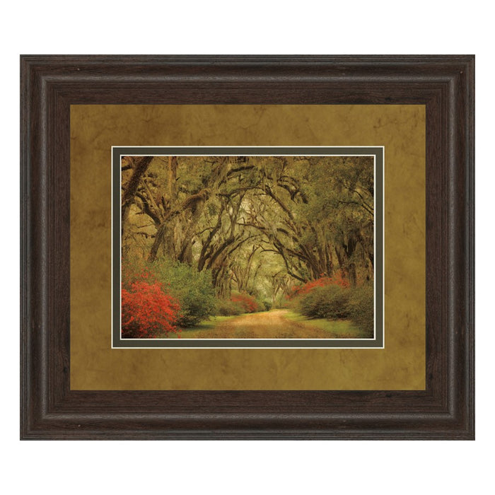 Classy Living Oak Pathway Wall Art Double Mat 40"x34", Cinnamon Mocha