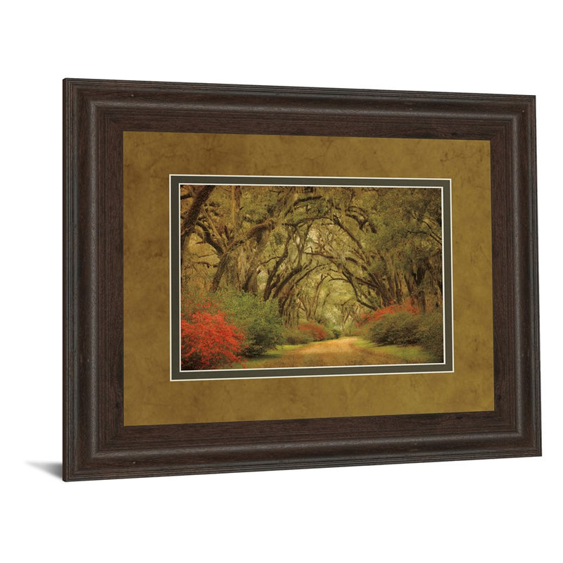 Classy Living Oak Pathway Wall Art Double Mat 40"x34", Cinnamon Mocha