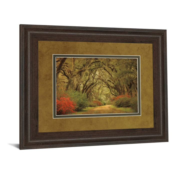 Classy Living Oak Pathway Wall Art Double Mat 40"x34", Cinnamon Mocha