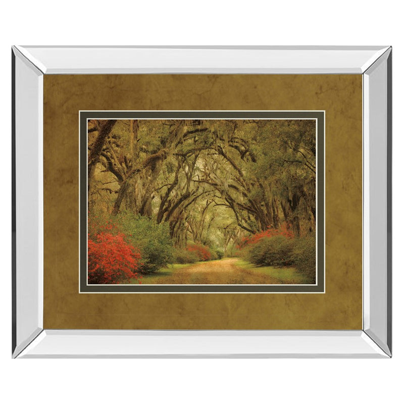 Classy Living Oak Pathway Wall Art 40"x34", Mirrored