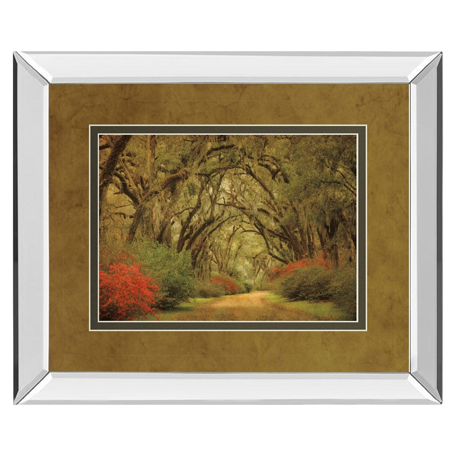 Classy Living Oak Pathway Wall Art 40"x34", Mirrored - DM5342MF