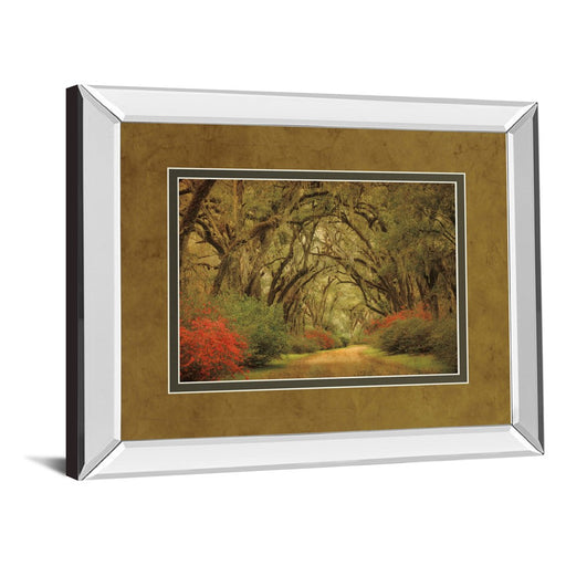 Classy Living Oak Pathway Wall Art 40"x34", Mirrored