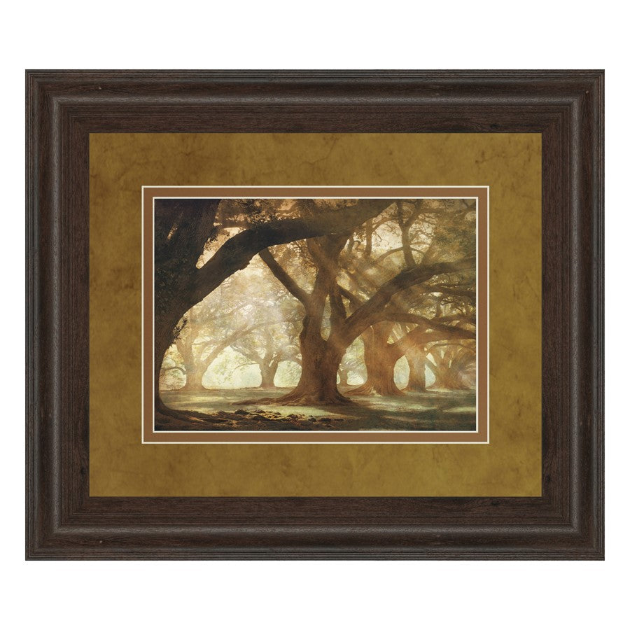 Classy Living Oak Alley Morning Light Wall Art Double Mat 40"x34", Cinn
