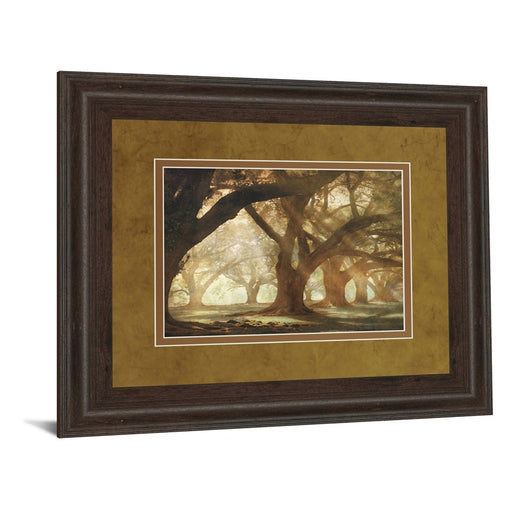 Classy Living Oak Alley Morning Light Wall Art Double Mat 40"x34", Cinn