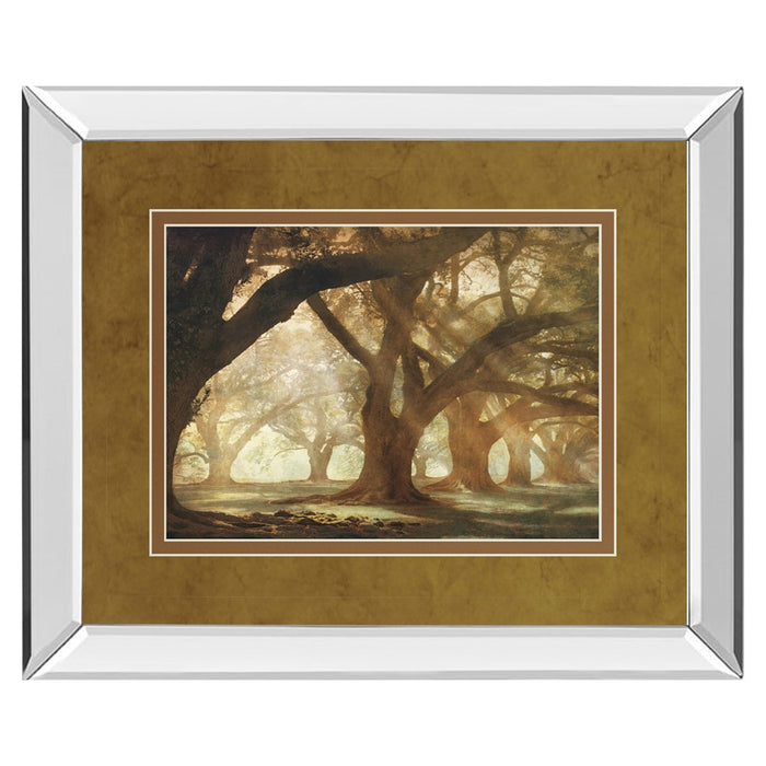 Classy Living Oak Alley Morning Light Wall Art 40"x34", Mirrored