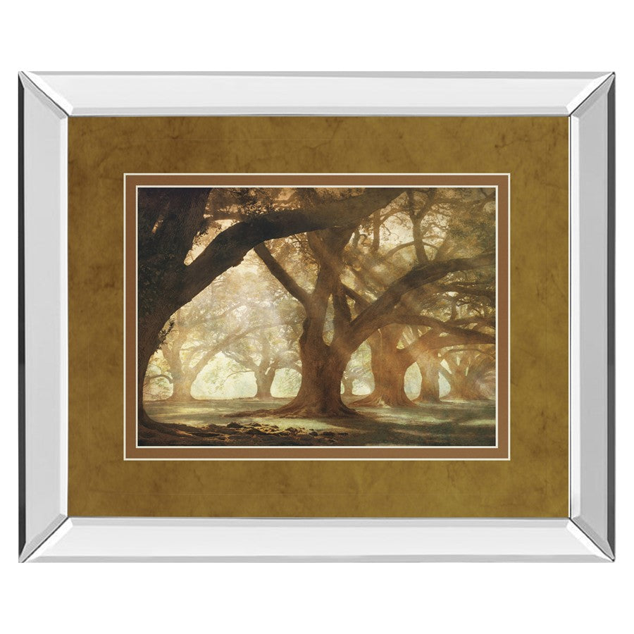 Classy Living Oak Alley Morning Light Wall Art 40"x34", Mirrored