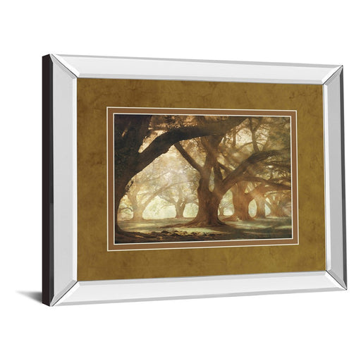 Classy Living Oak Alley Morning Light Wall Art 40"x34", Mirrored