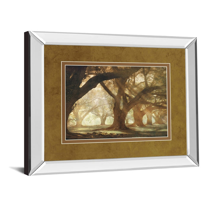 Classy Living Oak Alley Morning Light Wall Art 40"x34", Mirrored