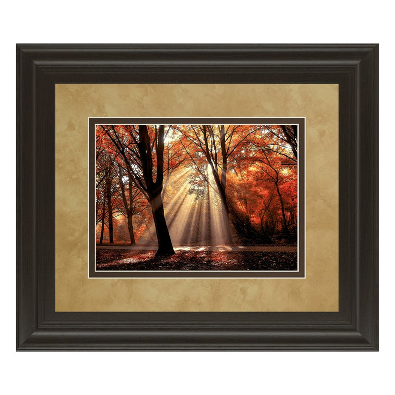 Classy Living Autumn Radiance Wall Art Double Mat 40"x34", Chocolate