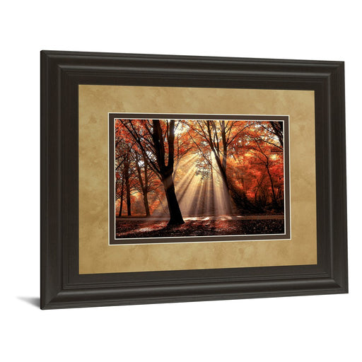 Classy Living Autumn Radiance Wall Art Double Mat 40"x34", Chocolate
