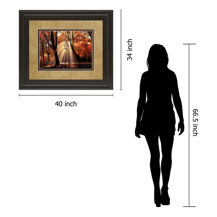 Classy Living Autumn Radiance Wall Art Double Mat 40"x34", Chocolate