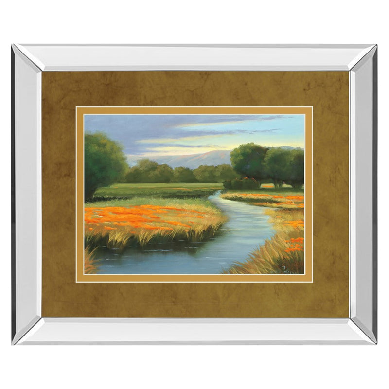 Classy Living California Orange Wall Art 40"x34", Mirrored