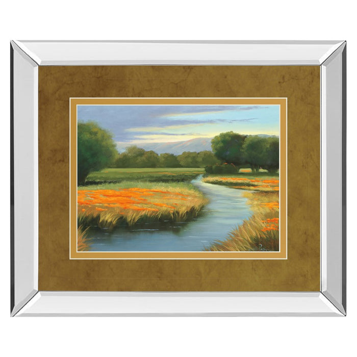 Classy Living California Orange Wall Art 40"x34", Mirrored - DM5404MF