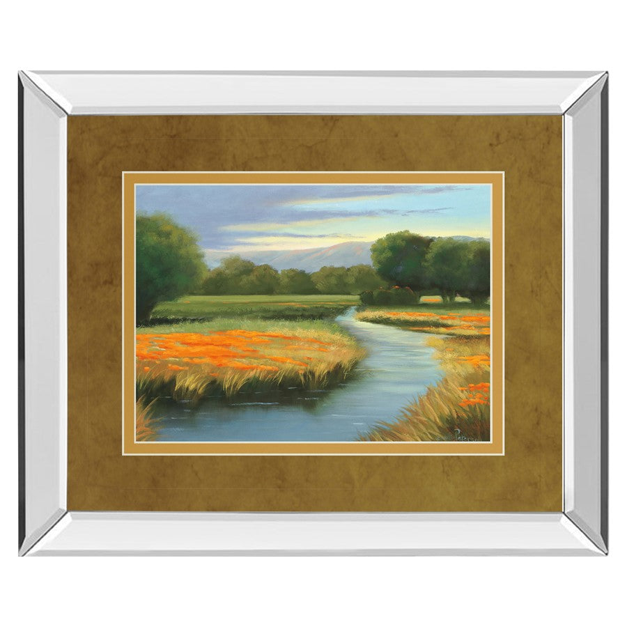 Classy Living California Orange Wall Art 40"x34", Mirrored - DM5404MF