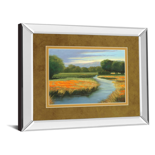 Classy Living California Orange Wall Art 40"x34", Mirrored