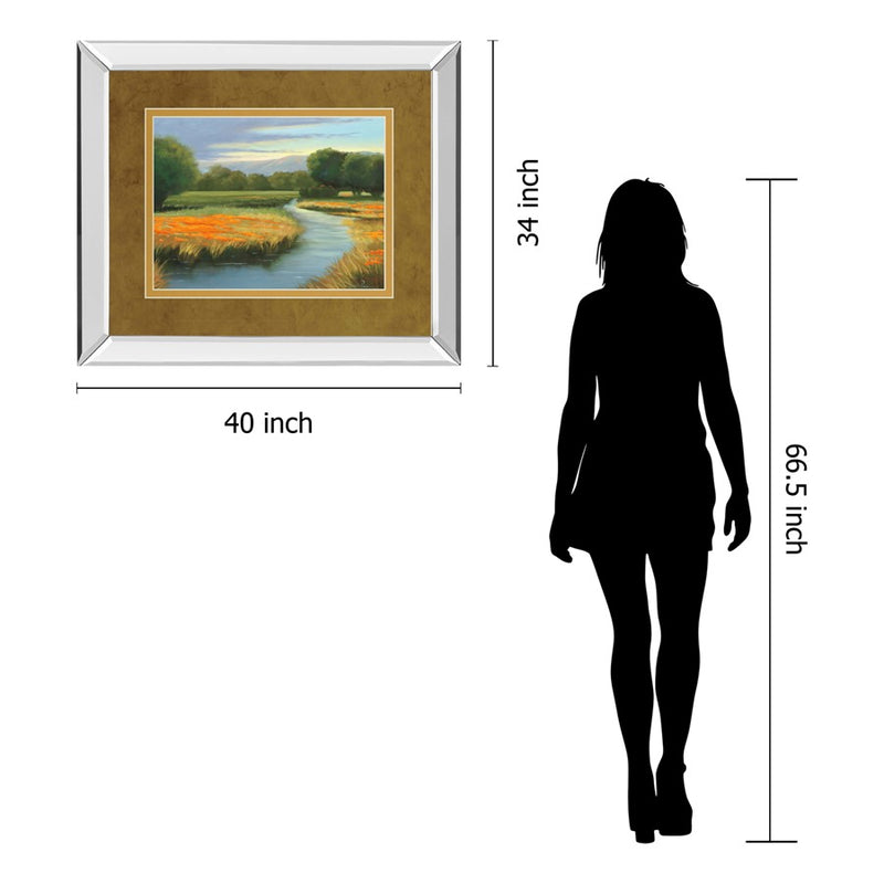 Classy Living California Orange Wall Art 40"x34", Mirrored