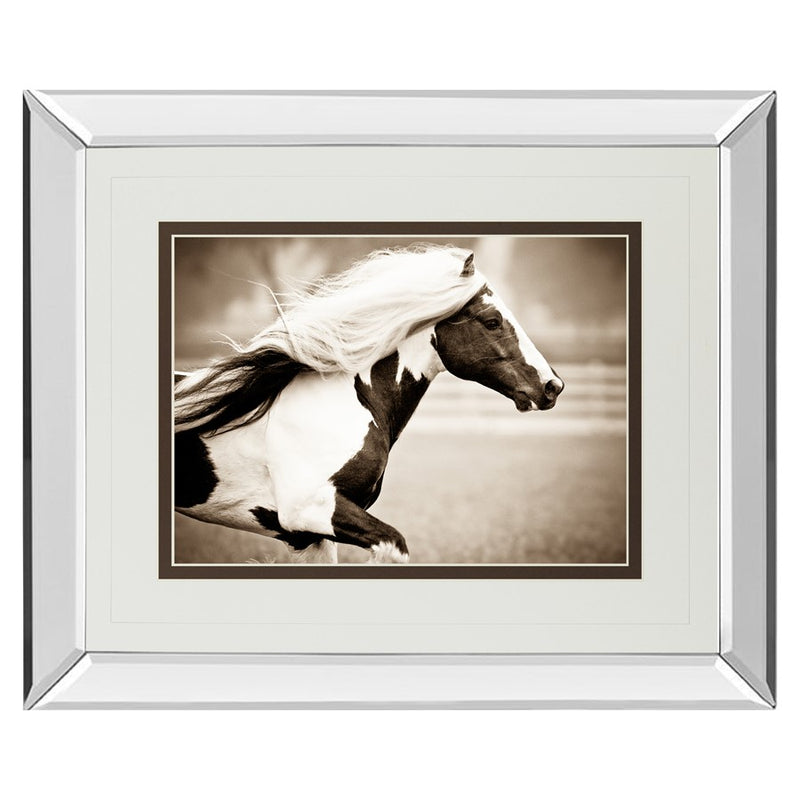 Classy Living Gypsies Pride Wall Art 40"x34", Mirrored