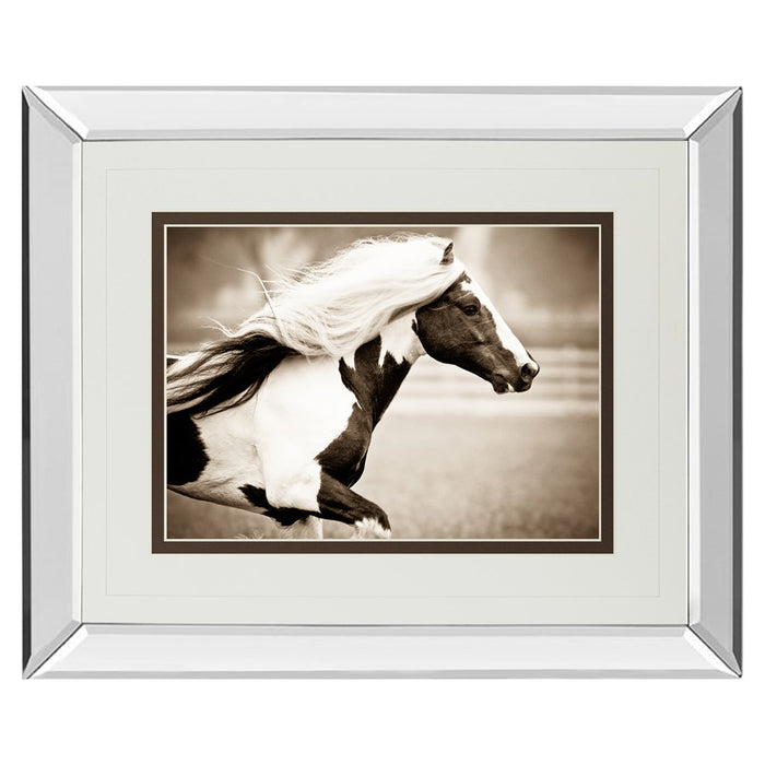 Classy Living Gypsies Pride Wall Art 40"x34", Mirrored