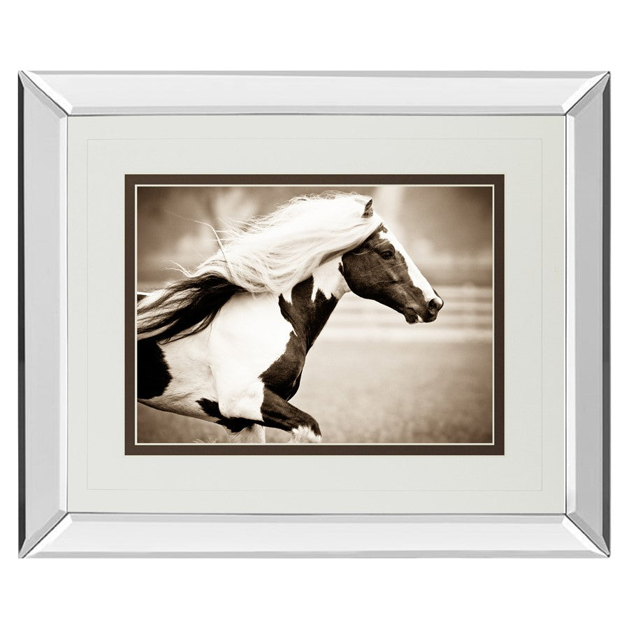 Classy Living Gypsies Pride Wall Art 40"x34", Mirrored