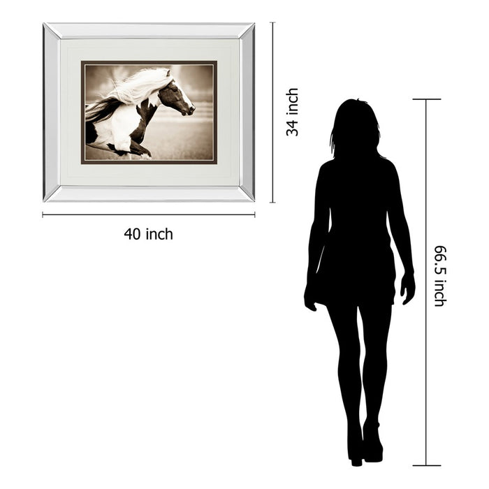 Classy Living Gypsies Pride Wall Art 40"x34", Mirrored