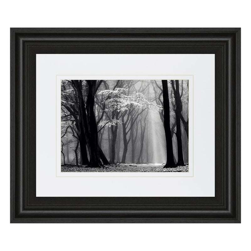 Classy Living Midnight Grove Wall Art Double Mat 40"x34", Midnight Aura