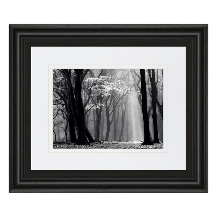 Classy Living Midnight Grove Wall Art Double Mat 40"x34", Midnight Aura