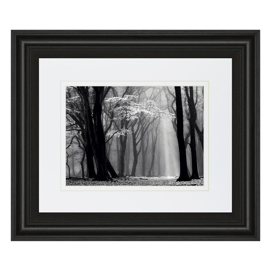 Classy Living Midnight Grove Wall Art Double Mat 40"x34", Midnight Aura
