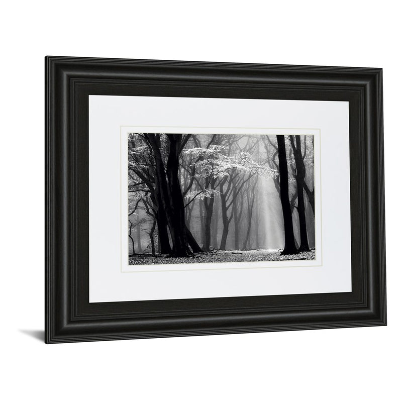 Classy Living Midnight Grove Wall Art Double Mat 40"x34", Midnight Aura