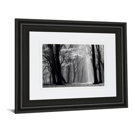 Classy Living Midnight Grove Wall Art Double Mat 40"x34", Midnight Aura