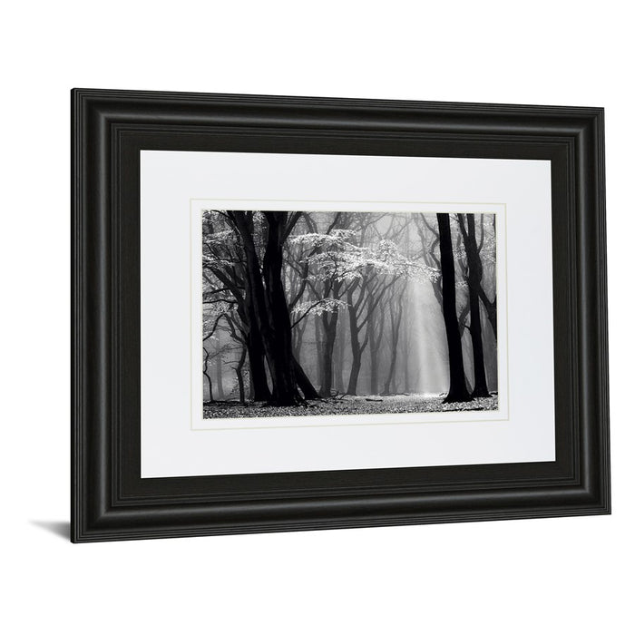 Classy Living Midnight Grove Wall Art Double Mat 40"x34", Midnight Aura