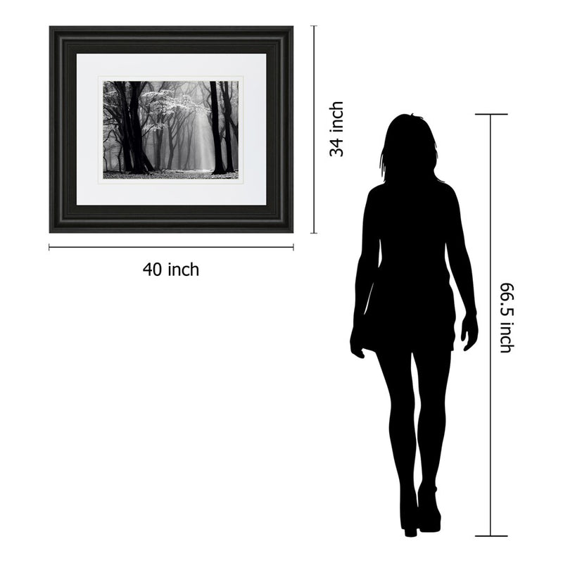 Classy Living Midnight Grove Wall Art Double Mat 40"x34", Midnight Aura