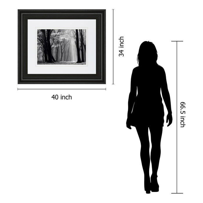 Classy Living Midnight Grove Wall Art Double Mat 40"x34", Midnight Aura