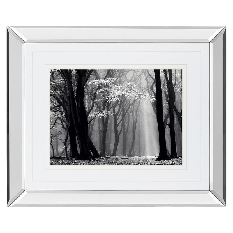 Classy Living Midnight Grove Wall Art 40"x34", Mirrored