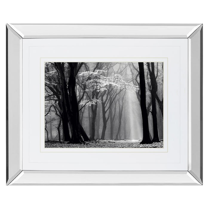 Classy Living Midnight Grove Wall Art 40"x34", Mirrored
