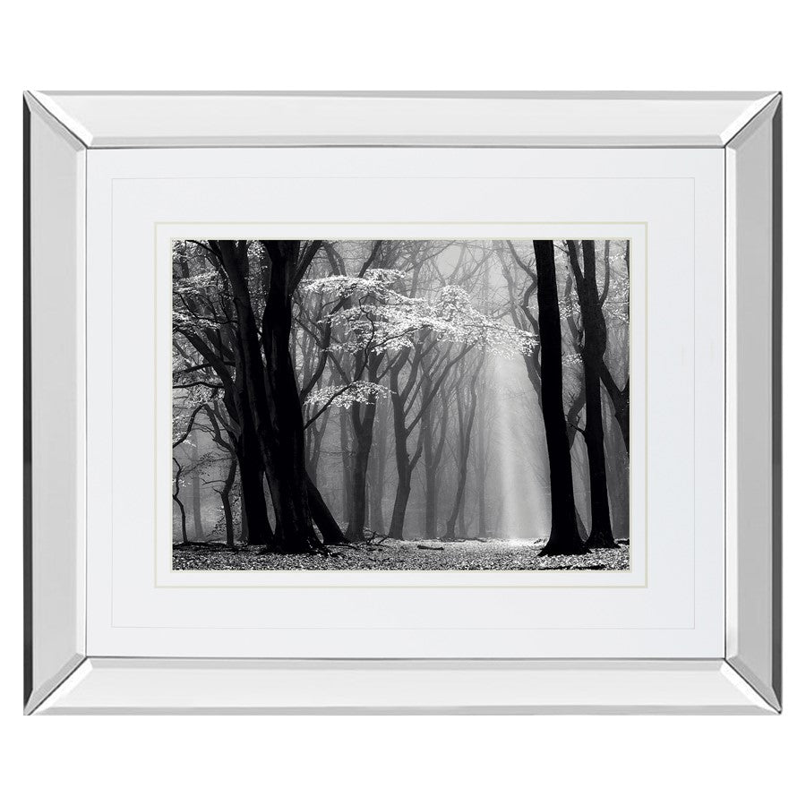 Classy Living Midnight Grove Wall Art 40"x34", Mirrored