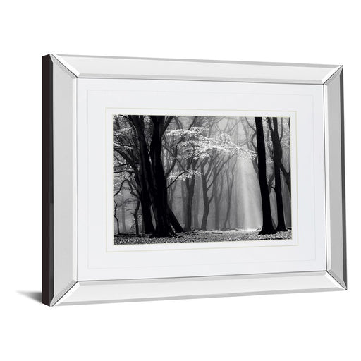 Classy Living Midnight Grove Wall Art 40"x34", Mirrored