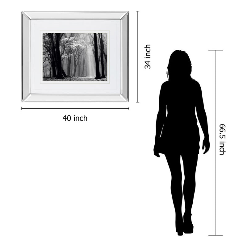 Classy Living Midnight Grove Wall Art 40"x34", Mirrored