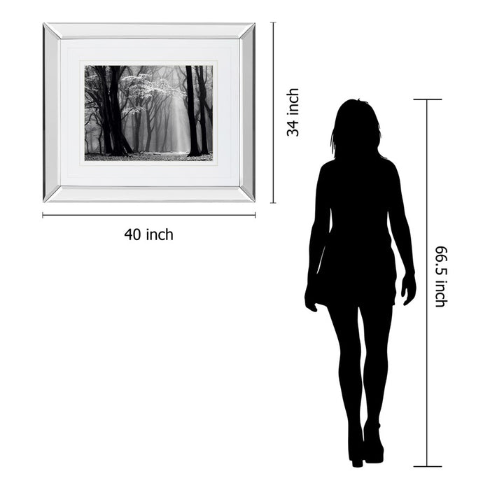 Classy Living Midnight Grove Wall Art 40"x34", Mirrored