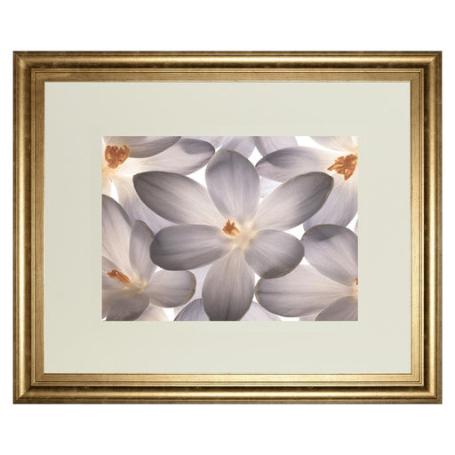 Classy Living Petal Whisper Wall Art Double Mat 40"x34", Gilded Radiance