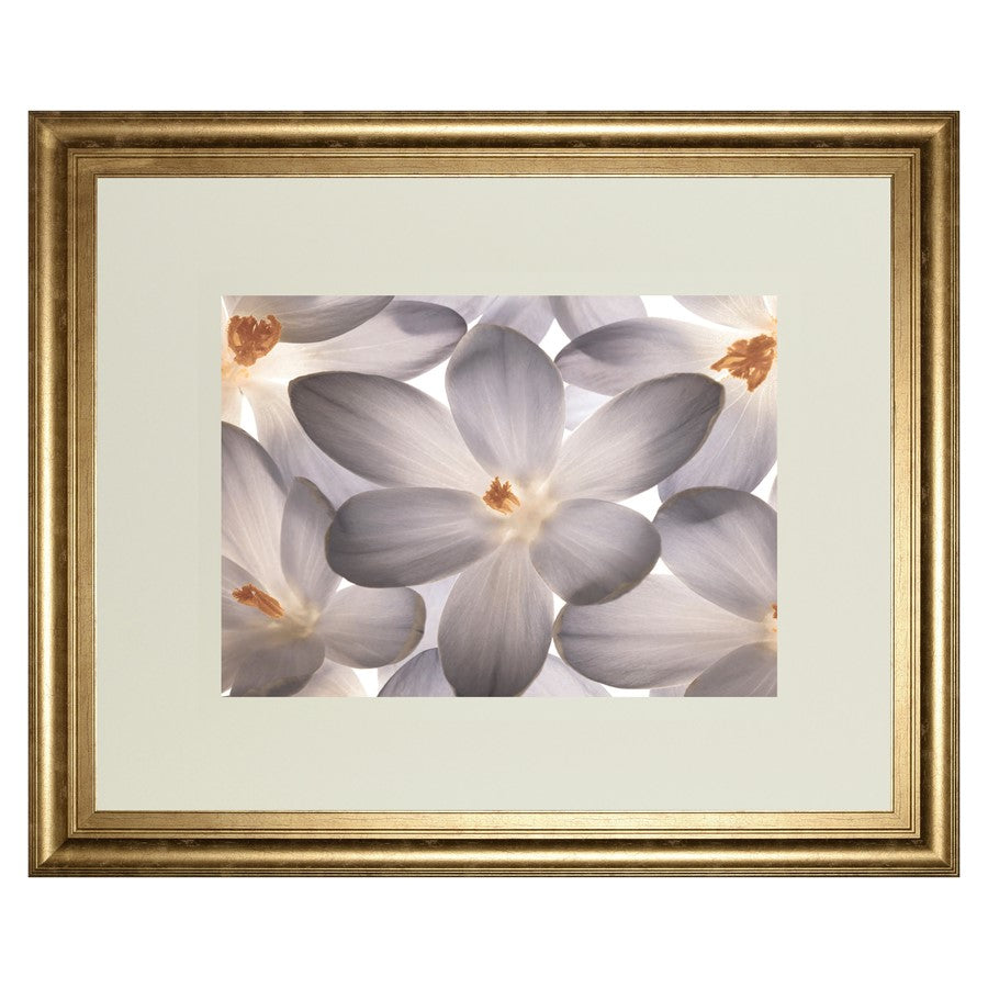 Classy Living Petal Whisper Wall Art Double Mat 40"x34", Gilded Radiance
