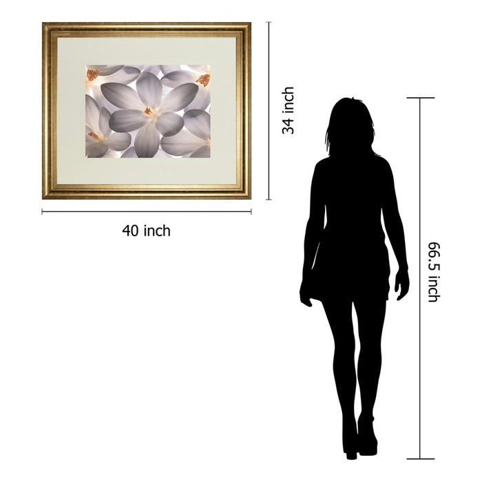 Classy Living Petal Whisper Wall Art Double Mat 40"x34", Gilded Radiance