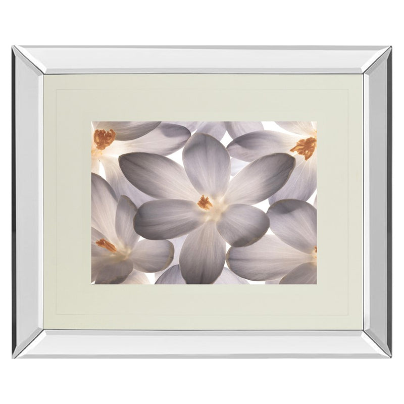 Classy Living Petal Whisper Wall Art 40"x34", Mirrored