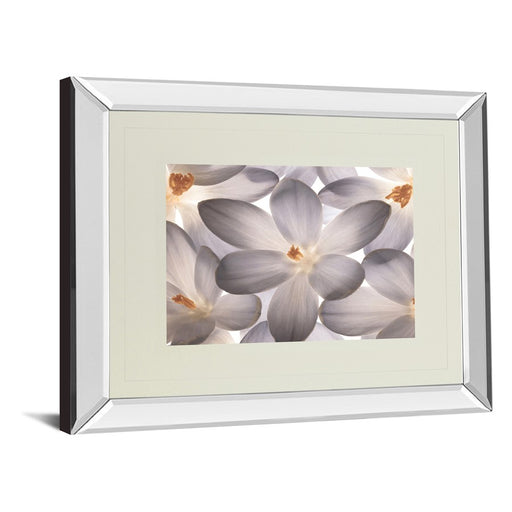 Classy Living Petal Whisper Wall Art 40"x34", Mirrored