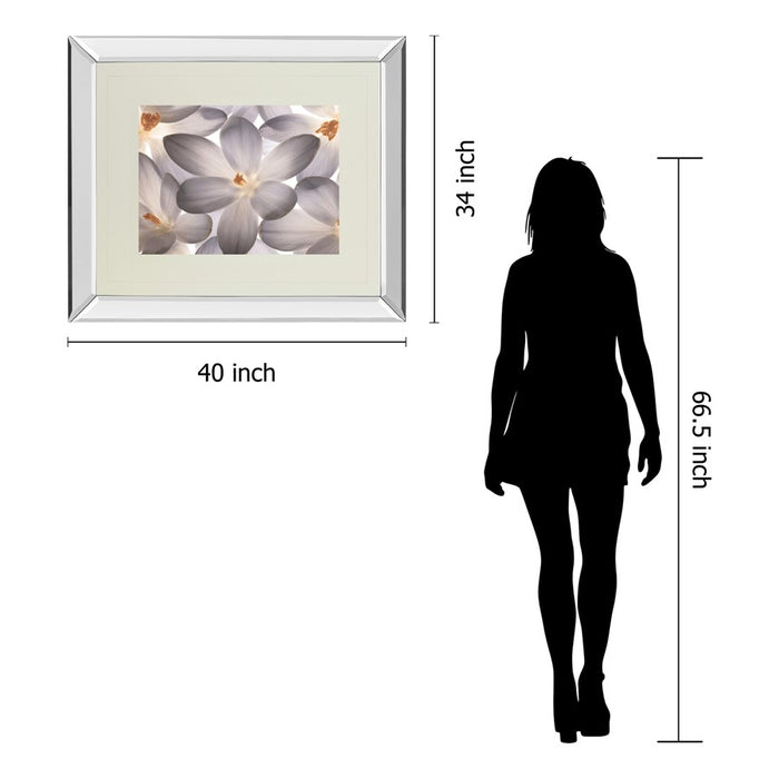 Classy Living Petal Whisper Wall Art 40"x34", Mirrored